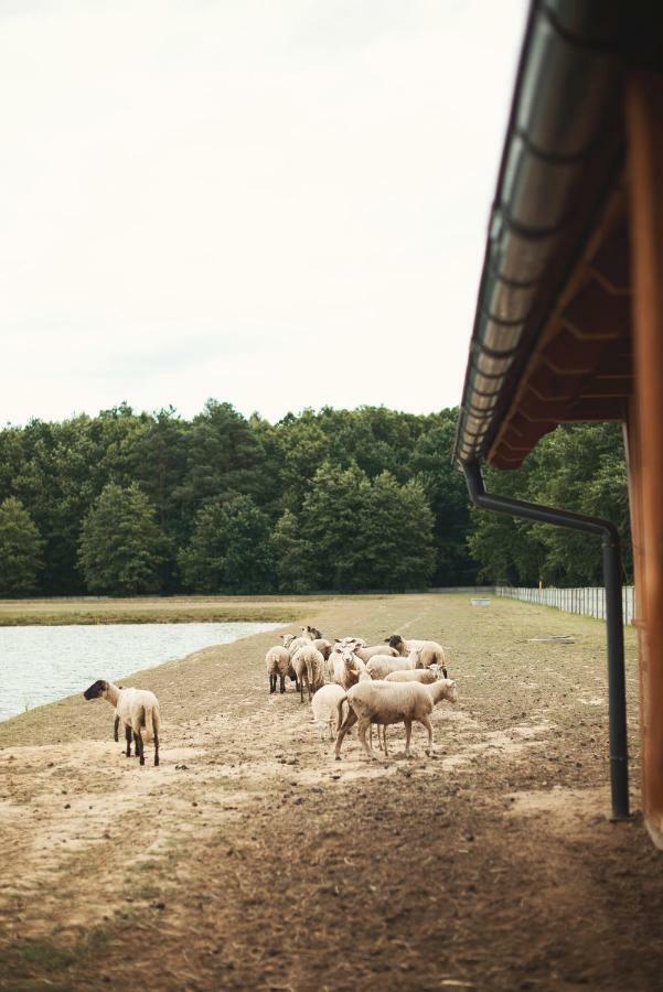 Tatarska Zagroda - Agroturystyka Dolina Baryczy Noclegi - Domek Jelonek Krosnice Extérieur photo